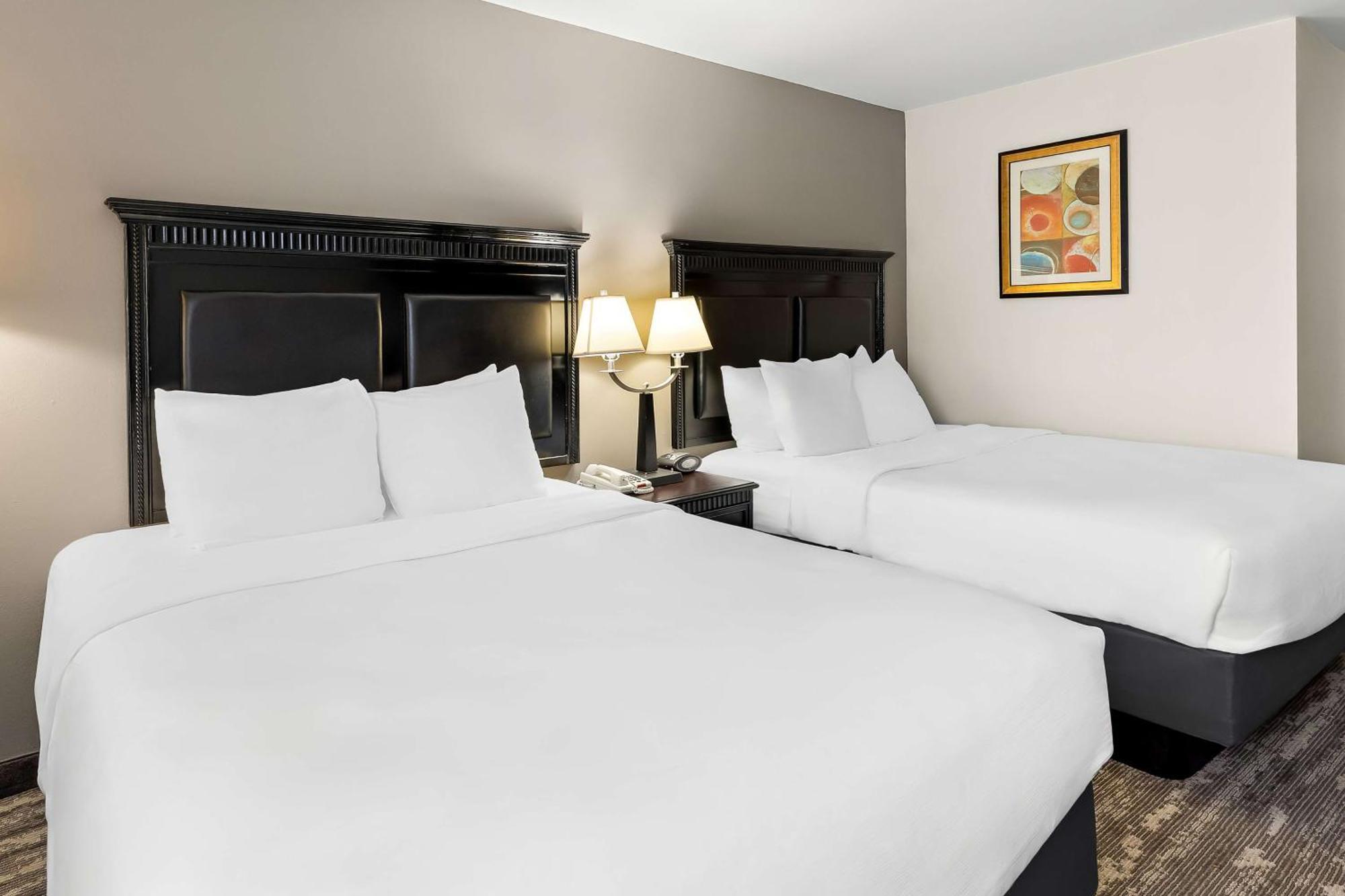 Best Western Saluki Inn Карбондейл Екстер'єр фото